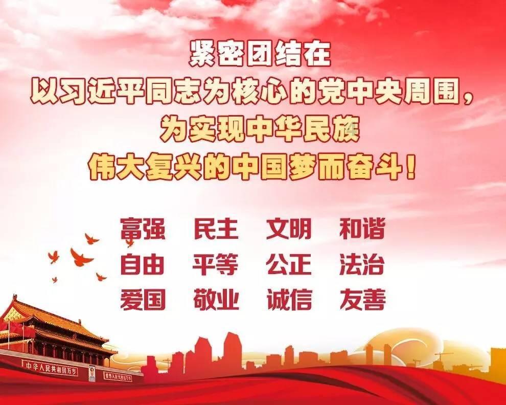 猫猫冒险团